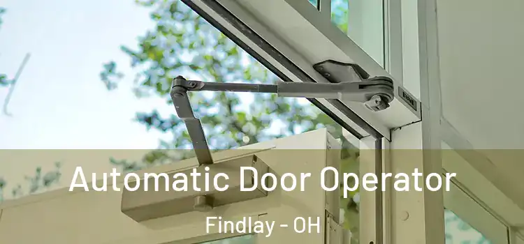 Automatic Door Operator Findlay - OH