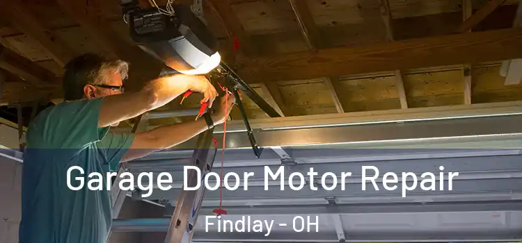  Garage Door Motor Repair Findlay - OH