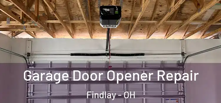  Garage Door Opener Repair Findlay - OH