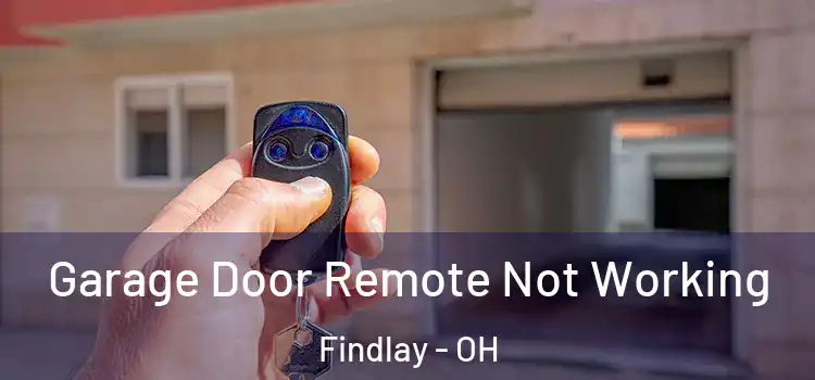  Garage Door Remote Not Working Findlay - OH