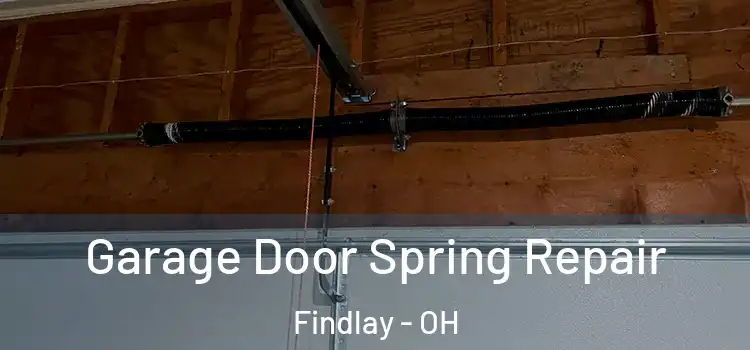  Garage Door Spring Repair Findlay - OH
