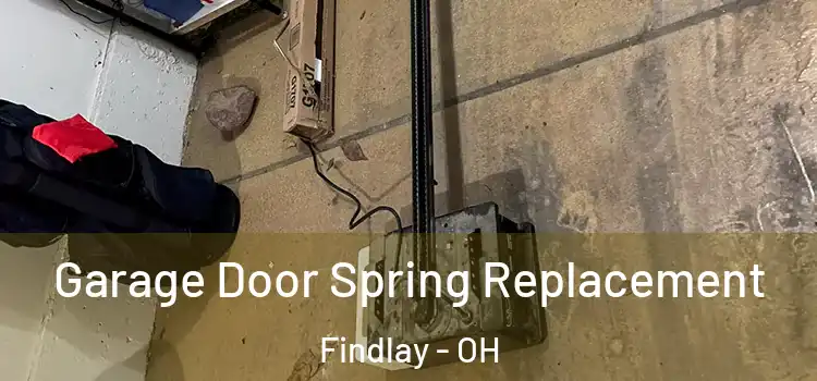  Garage Door Spring Replacement Findlay - OH