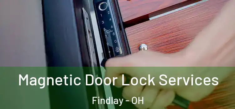 Magnetic Door Lock Services Findlay - OH