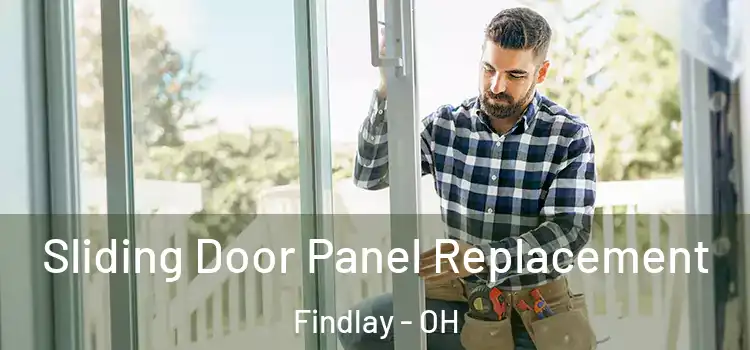  Sliding Door Panel Replacement Findlay - OH